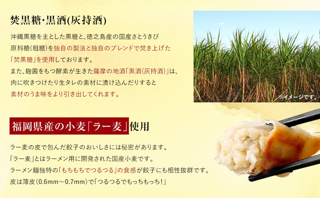 【国産冷凍生餃子】大きめ餃子300個 計6kg 餃子 ギョーザ