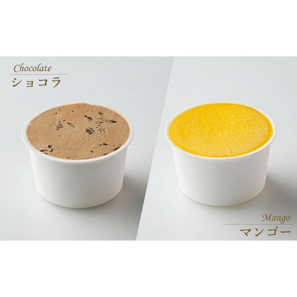 アイスクリーム 詰め合わせ 8個 (福岡市内製造)