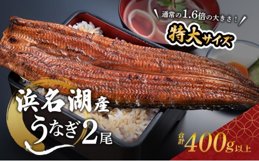 
                  国産 うなぎ 超特大 長蒲焼き 2尾 400g以上 国産うなぎ
                
