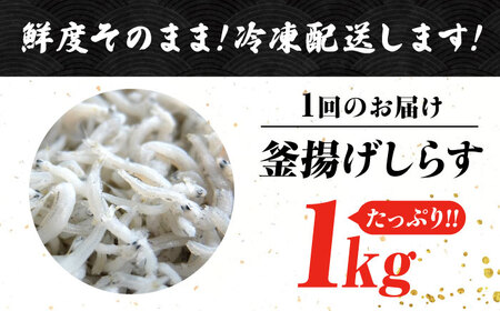 【全3回】訳あり釜揚げしらす1kg しらす[XCN026]