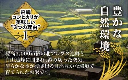 【定期便 6ヶ月】（全6回）令和7年産 飛騨コシヒカリ 白米 10kg | こしひかり 飛騨こしひかり お米 コメ 精米 飛騨産 飛騨高山 JAひだ GS102