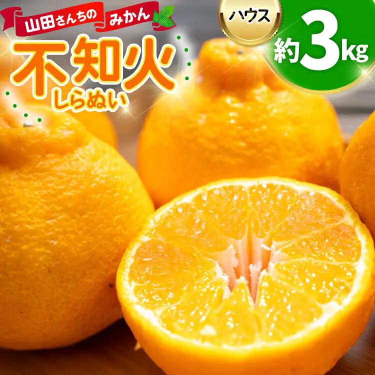 【期間限定発送】 みかん 山田さんちのハウス不知火(しらぬい) 約3kg