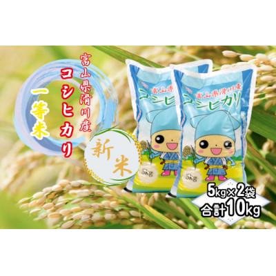 ふるさと納税 滑川市 滑川産コシヒカリ(令和7年産新米/精米)10kg