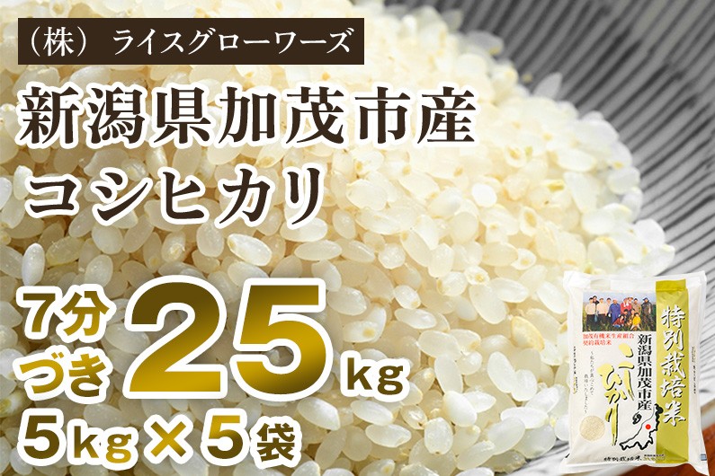 
                  【令和8年産新米先行予約】【7分づき】新潟県加茂市産 特別栽培米コシヒカリ 精米25kg（5kg×5）《10月上旬～順次出荷》 従来品種コシヒカリ （株）ライスグローワーズ
                