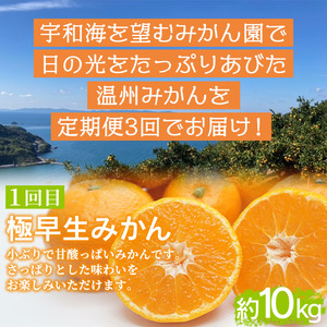 ＜定期便3回 でん助農園の温州みかんリレー 家庭用 合計約30kg＞ 果物 フルーツ ミカン オレンジ 柑橘類 極早生 早生 中生 南柑20号 自宅用 国産 特産品 食べて応援 産地直送 西宇和産 愛