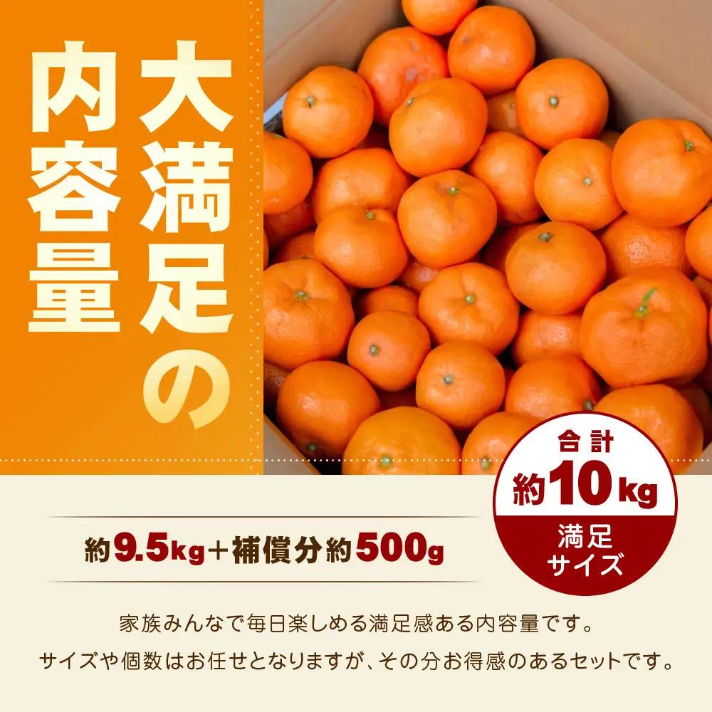 【訳あり】和歌山みかん 約9.5kg+補償分約500g サイズ混合 11月より順次発送 訳ありみかん 【red1】