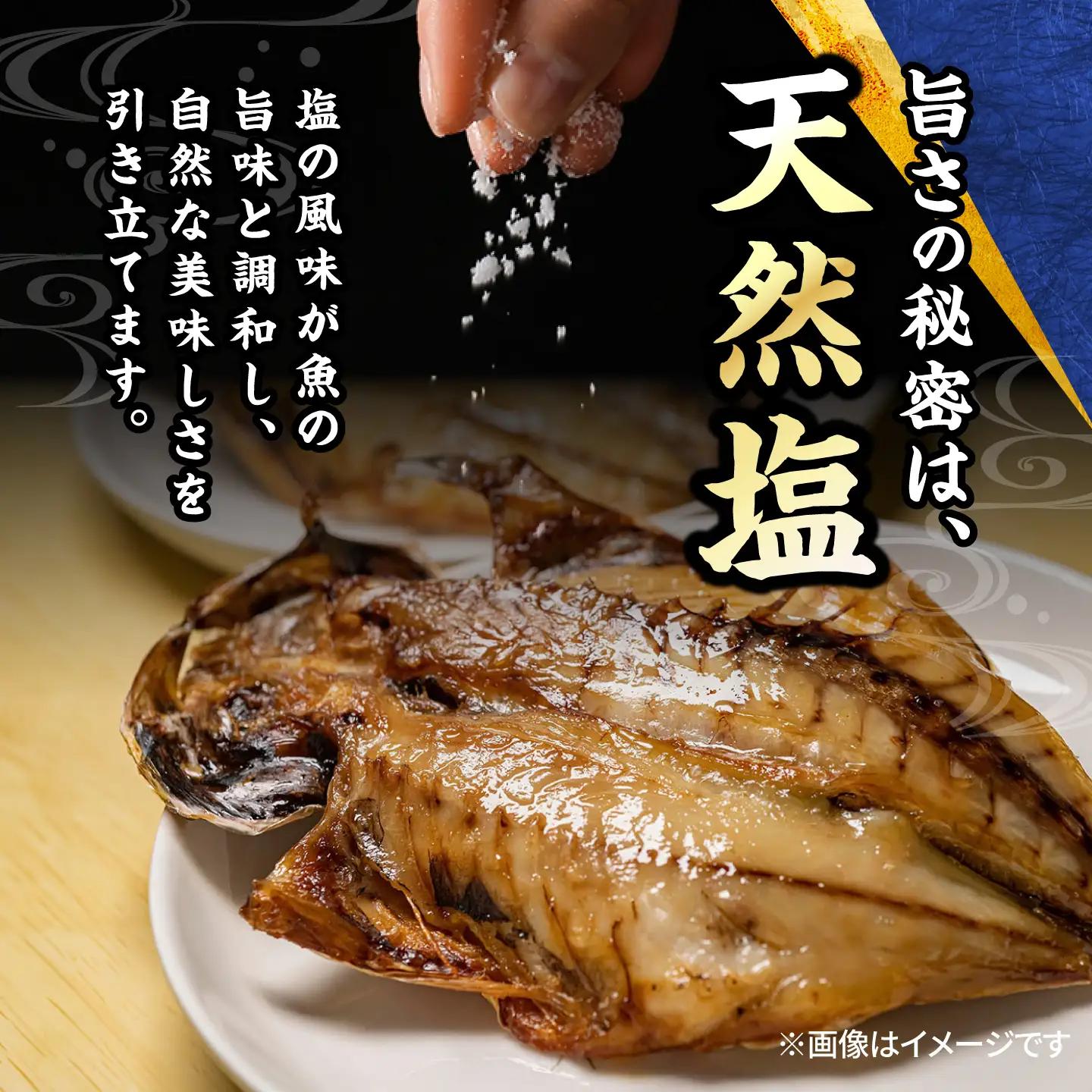 【訳あり】干物 真アジの干物 約2.8kg（40枚前後） [AKCX001]