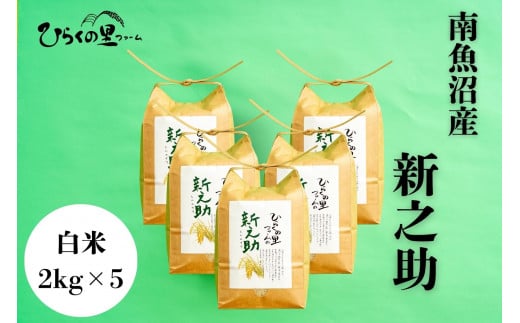 【令和7年産新米予約】金賞 南魚沼産新之助 白米2kg×5 きらめく大粒！ ひらくの里ファーム【2025年10月上旬より順次発送予定】