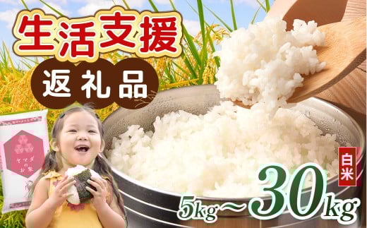 【令和7年産含む】 近江ブレンド米 30kg 愛荘町産 白米 精米 米 お米 単一原料米 ブランド米 銘柄米 国産 ご飯 白飯 ゴハン 食品 支援 支援品 生活支援 生活応援 送料無料 AY004