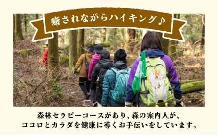 森林セラピー＆スワッグ（苔玉）づくり体験2名様 FZ006 | 森林 セラピー ハイキング 自然 体験 森 観光 四国八十八ヶ所霊場 お遍路 健康 手作り体験 ワークショップ 篠栗町