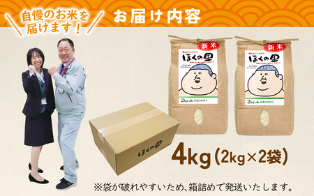 【先行予約】里山のこしひかり ほくの里 2kg × 2袋 計4kg【2月配送】| 新米 令和7年産 ブランド米 銘柄米 コシヒカリ お米 コメ こめ  4キロ 白米 精米 国産