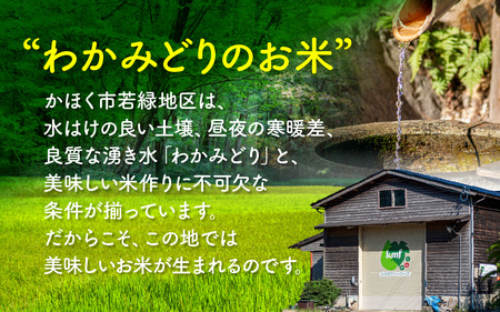 【先行予約 令和7年産】石川県かほく市産 こしひかり 6kg（2kg × 3袋） 特別栽培米【2025年10月より順次発送】| 新米 コシヒカリ 小分け 精米 白米 お米 こめ コメ 6キロ 単一原料