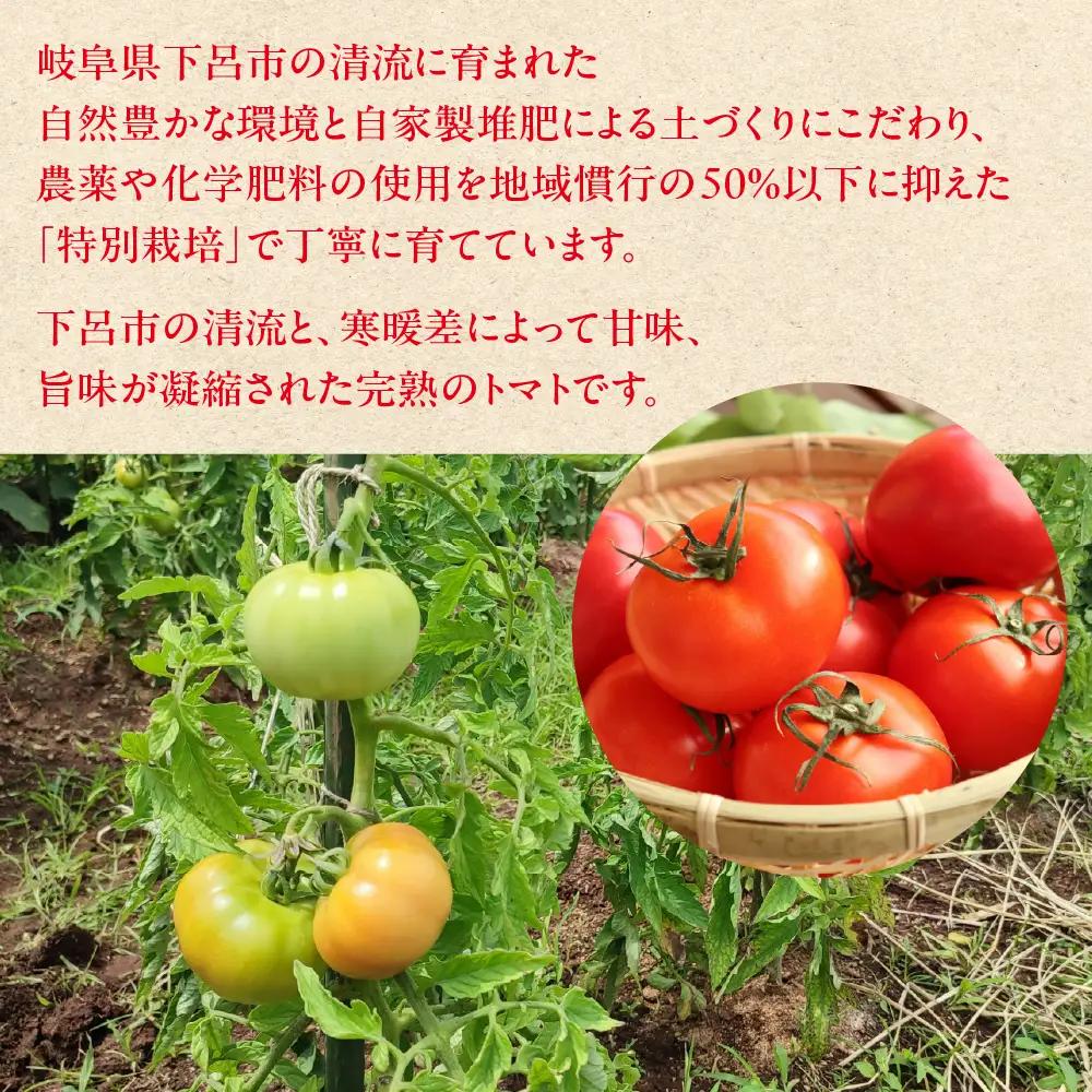 【ふるなびWEEK対象】（訳あり）甘熟トマト麗月 2Ｌ～3Ｌ 大サイズ 4kg以上 【119-5fw】