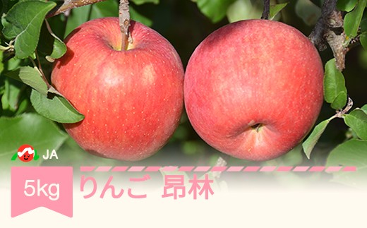【先行予約】りんご 昂林 約5kg 秀 2026年産 令和8年産 ※沖縄・離島への配送不可 ja-rikrx5