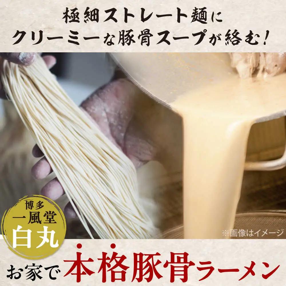 【全12回定期便】ラー麦使用「一風堂」とんこつラーメン 白丸(8食)[BGAD033]