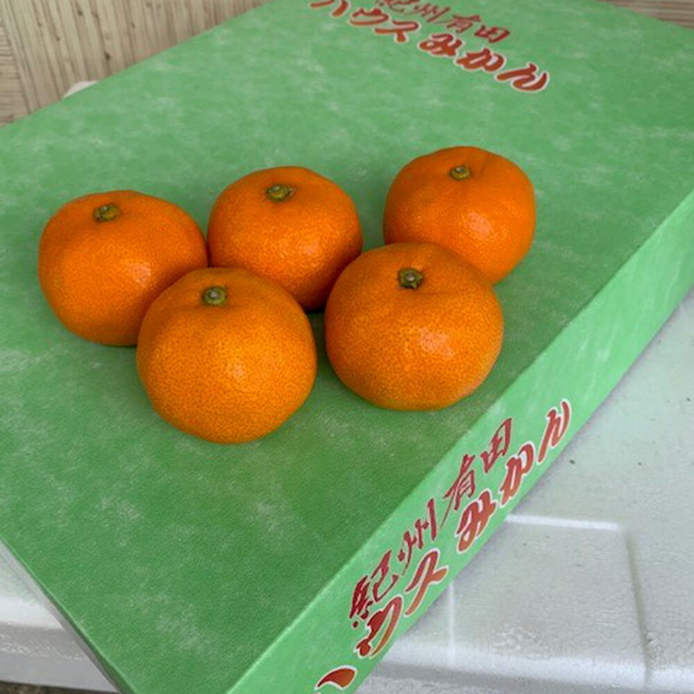 【ふるさと納税】【2025年先行予約】 ハウスみかん 化粧箱 約2.5kg 【ミカン 蜜柑 柑橘 温州みかん 有田みかん 贈答 ギフト 和歌山】