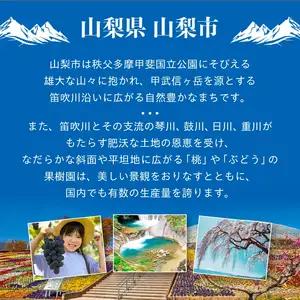 【魚の粕漬け】 8切れ詰め合わせ(銀ダラ4切れ・銀鮭4切れ)【配送不可地域：離島】【1741964】