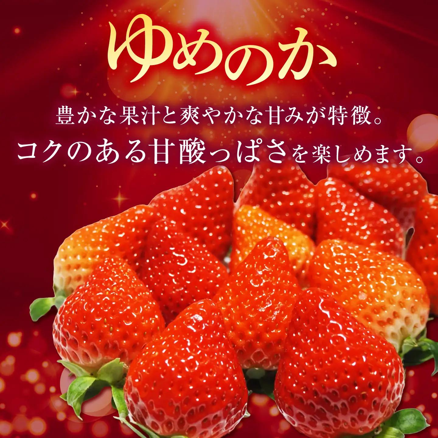 【先行予約】【訳あり/簡易包装】ゆめのか 250g × 2パック【2027年1月以降順次発送】 [JEM006] いちご 苺