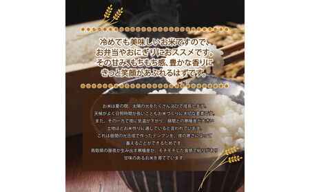 令和7年産　こしひかり玄米5kg