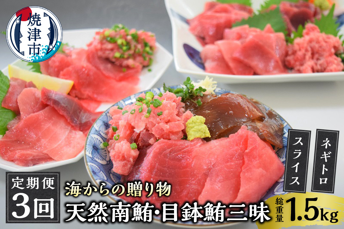 
a30-232　海からの贈り物 焼津天然まぐろ三昧(3回お届け)定期便【定期便】

