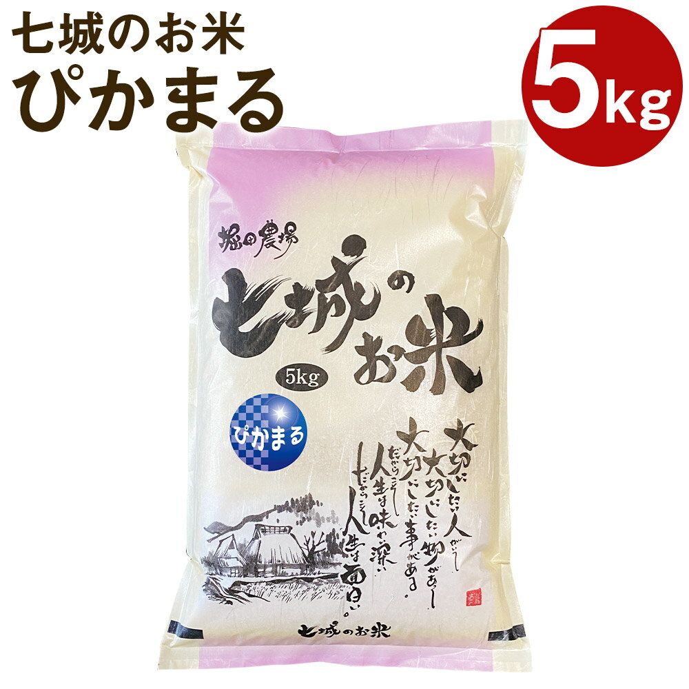 【ふるさと納税】七城のお米 ぴかまる 5kg 新米 白米 精米 令和7年産 お米 熊本県産 九州産 送料無料《10月中旬頃より出荷》