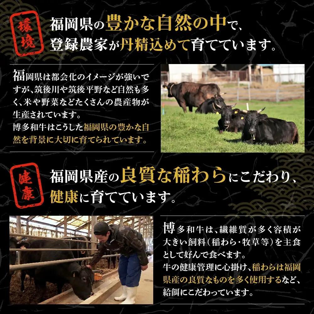 【A5ランク】博多和牛ヒレステーキ200g×5枚(ジャポネソース付き)【伊豆丸商店】_HA0183