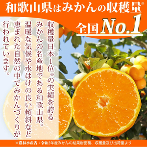 紀州和歌山まるごとみかんゼリー 145g×6個 化粧箱入 ※2024年10月上旬頃より発送予定【uot790】