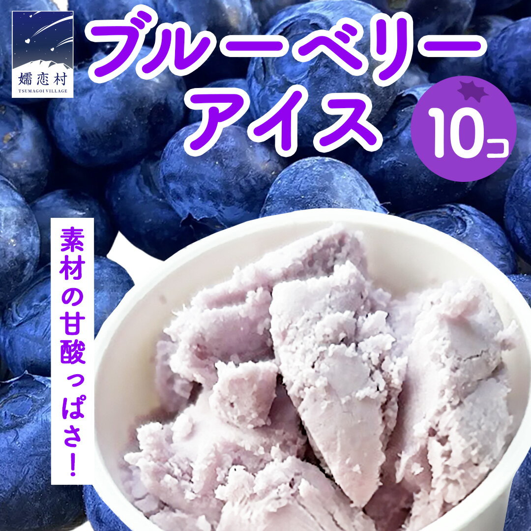 【ふるさと納税】嬬恋村 の 農園アイス ブルーベリー 100ml 10個入り 100ml アイスクリーム ジェラート シャーベット スイーツ お菓子 デザート 詰め合わせ 詰合せ 食べ比べ アソート 群馬県