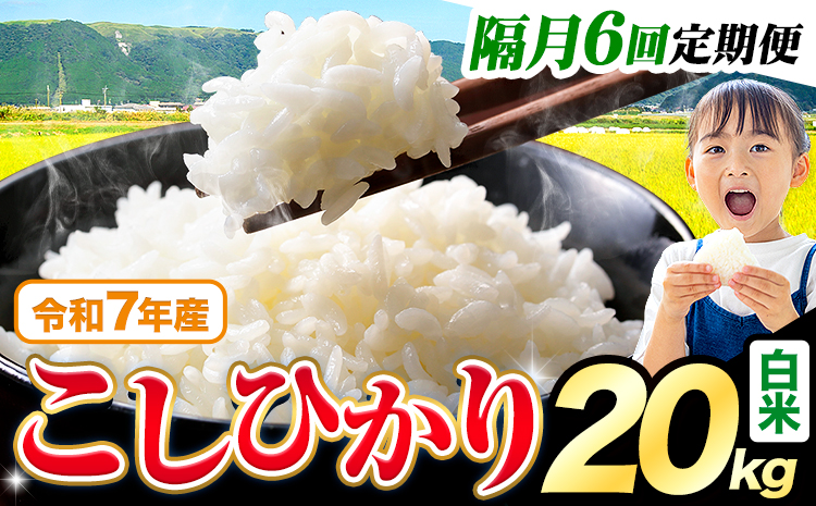 【隔月6回定期便】令和7年産 白米 こしひかり 20kg《お申込みの翌月出荷》熊本県産 ふるさと納税 白米 精米 ひの 米 こめ ふるさとのうぜい コシヒカリ コメ お米 おこめ---reihoku_