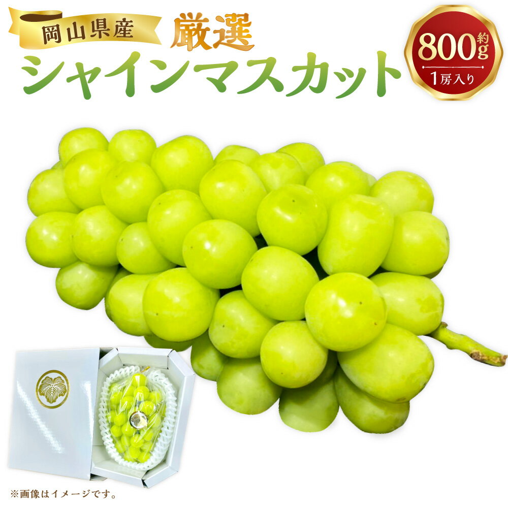【ふるさと納税】【先行予約】厳選 シャインマスカット 約800g 1房入り マスカット ぶどう ブドウ フルーツ 果実 くだもの 果物 お取り寄せ 常温 岡山県 美咲町 送料無料【2026年9月下旬-10月下旬発送予定】