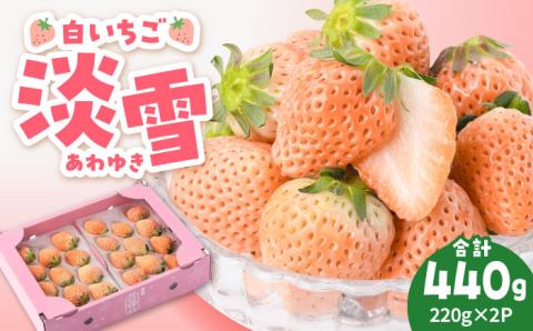 【先行予約】【農家直送】ほんのりピンク白いちご希少な「淡雪」220g×2パック【岸川農園】/イチゴ 苺 ストロベリー [IAP005]