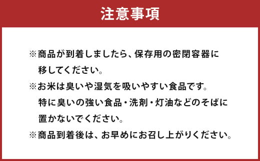 【12回定期便】ひのひかり 10kg (初回 ご飯の友 付き) 計120kg