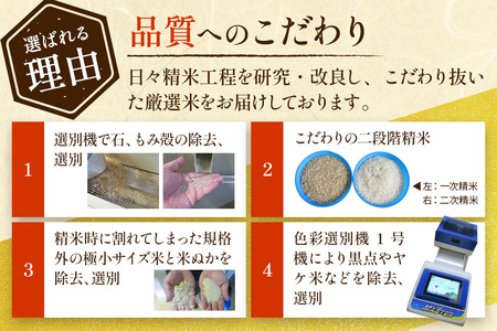 《定期便5ヶ月》10kg（5kg×2袋）大手有名百貨店出荷米 あきたこまち【白米】令和8年産 米 お米 《新米先行受付》