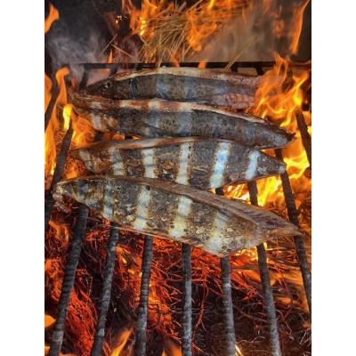 ふるさと納税 土佐市 生鰹の藁焼きたたき(タレ・薬味付き) |  | 01