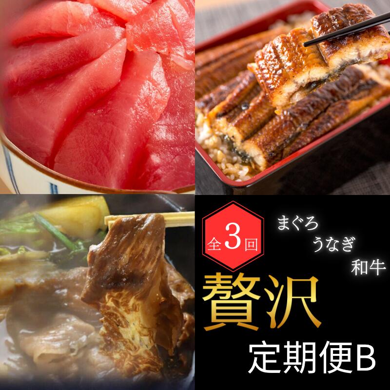 【ふるさと納税】 【全3回】まぐろ・うなぎ・和牛を楽しむ贅沢定期便B / 鮪 マグロ 刺身 鰻 ウナギ 蒲焼 熊野牛 肉 牛肉 和牛 黒毛和牛 赤身 こま切れ