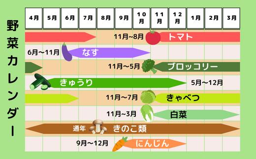 季節の野菜詰合せセット 7~10品【 野菜セット 詰め合わせ 季節 旬 新鮮野菜 埼玉 】