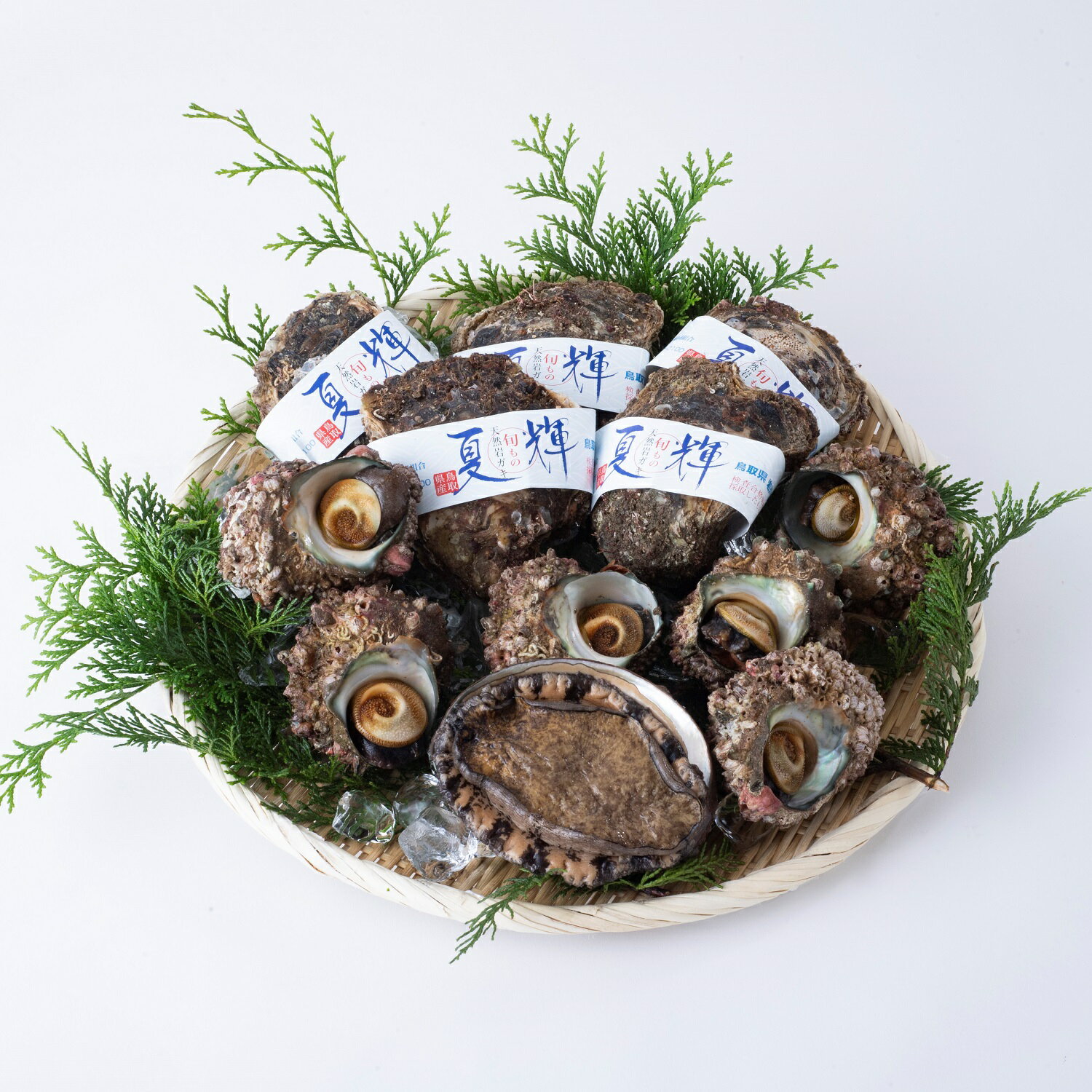 【ふるさと納税】岩美町素潜りセット｜鳥取県 岩美町 サザエ 岩ガキ 岩牡蠣 牡蠣 アワビ 鮑 新鮮 海鮮 魚介 詰め合わせ セット【21005】