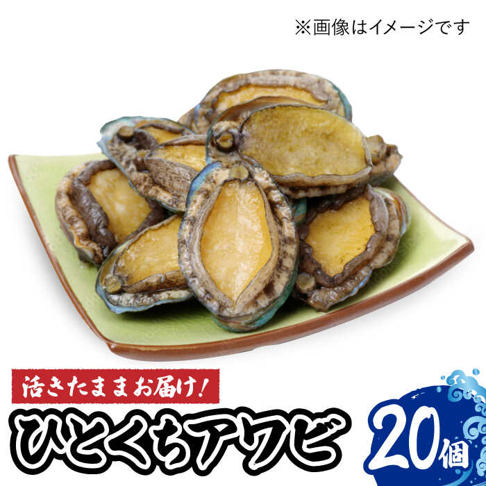 【ふるさと納税】【小ぶりで料理に使いやすい！】 上五島産 養殖 ひとくち アワビ 厳選 20個【豊建設株式会社】 [RAE001]