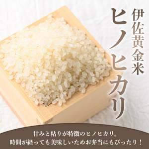 isa601 《数量限定・3回定期便》令和7年産 小北農場のお米 伊佐黄金米〈ヒノヒカリ〉(計15kg・5kg×1袋×3回) 鹿児島 伊佐 お米 特別栽培米 伊佐米 白米 ヒノヒカリ ひのひかり おに