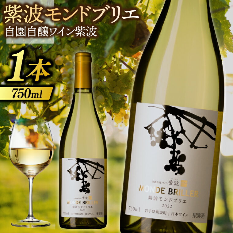【ふるさと納税】産地限定 ワイン ぶどう品種使用 「紫波 モンドブリエ」自園自醸ワイン 紫波 紫波町産 ぶどう 白 やや辛口 ワイン (AL081)