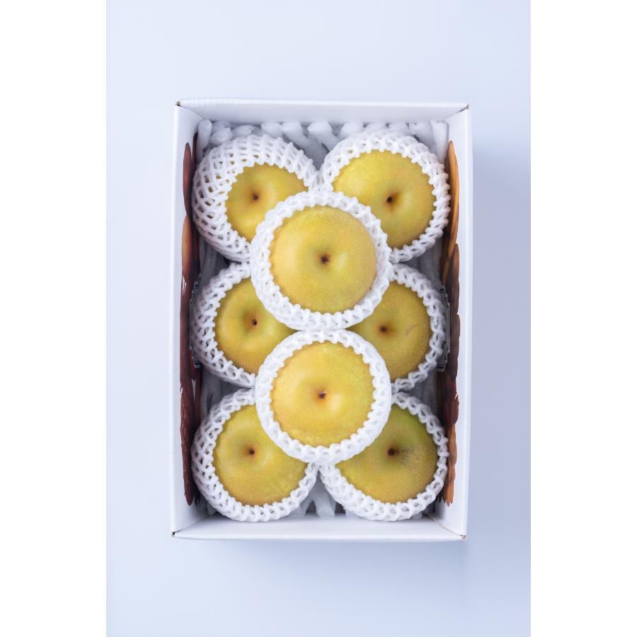 ＜JA八女産＞梨2.5ｋｇ