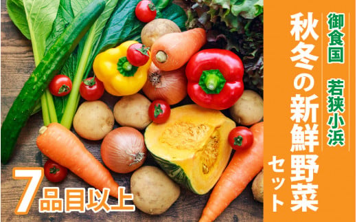 【先行予約】小浜市産 秋冬野菜セット 7品目以上【2024年11月より順次発送】