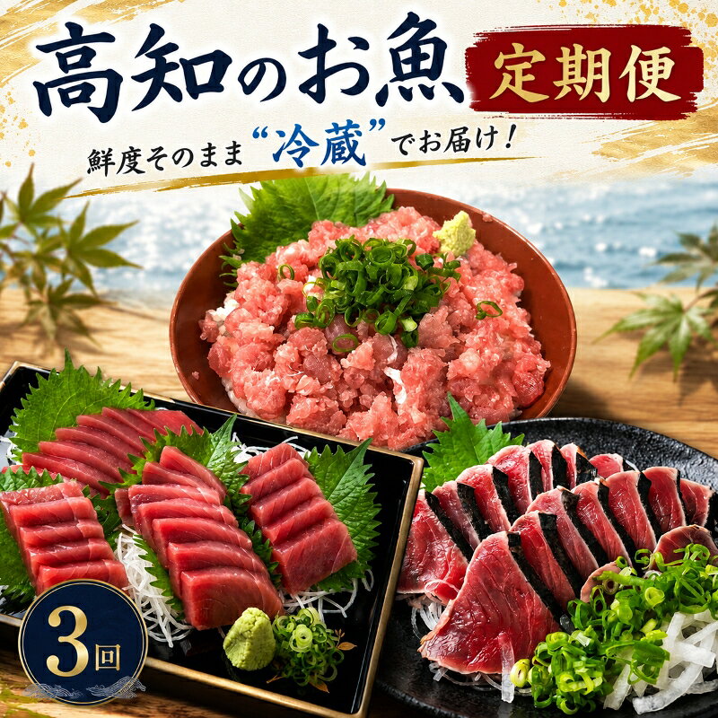 【ふるさと納税】 【冷蔵】 海鮮 3回定期便 高知 カツオ マグロ ネギトロ 天然 藁焼き かつおたたき 鰹 鮪 まぐろ ブロック 刺身 厳選 海鮮丼 マグロ丼 鮪 冷蔵 国産 高知県産 カツオ 鰹のたたき 藁焼きたたき わらやき ねぎとろ 刺し身 ギフト プレゼント 高知県