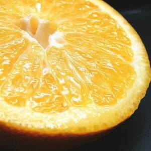 八朔(はっさく)[約10kg]和歌山県有田産春みかん(果実サイズおまかせ)【1223502】