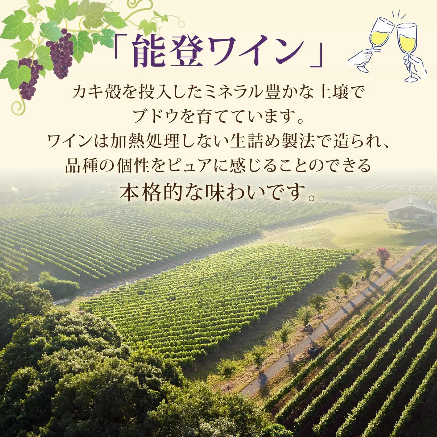 赤白飲み比べ 能登ワイン2本セット/ ワイン ぶどう