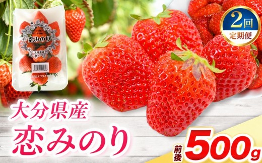 【定期便2回】恋みのり × 2パック ( 約500g ) ( 1パック/250g前後 ) | 苺 イチゴ いちご ベリー フルーツ 果物 くだもの 大分県産 産地直送 定期 定期便 大分県 中津市