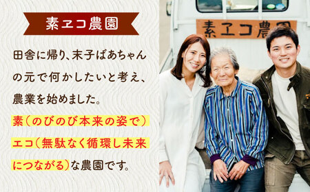 ミシュラン三ツ星レストランでも使用！平飼い鶏の炭火焼 4袋（80g/袋） / 平飼い 鶏肉 炭火焼 / 佐賀県 / 素ヱコ農園 [41AEAA013]
