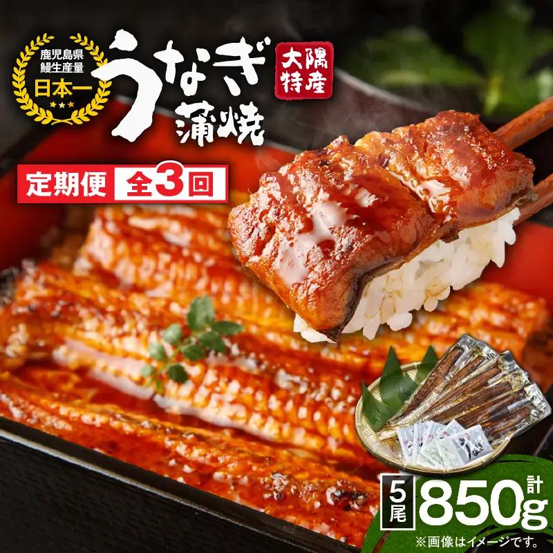 2488 【定期3回】大隅特産うなぎ蒲焼5尾（850g）【国産】 KN060-T12 うなぎ ウナギ 鰻 うなぎ蒲焼 鰻蒲焼き ウナギ蒲焼 惣菜 総菜 定期便 定期 魚類 魚貝類 魚介類 海産物 鰻重 うな重 ひつまぶし 鰻丼 土用の丑 魚 冷凍 寺園商店 ふるさと納税 鹿児島 鹿屋市 おすすめ ランキング プレゼント ギフト