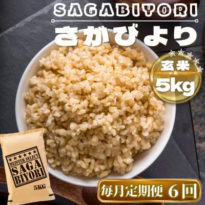 ふるさと納税 鳥栖市 【毎月定期便】【玄米】さがびより玄米5kg(鳥栖市)全6回