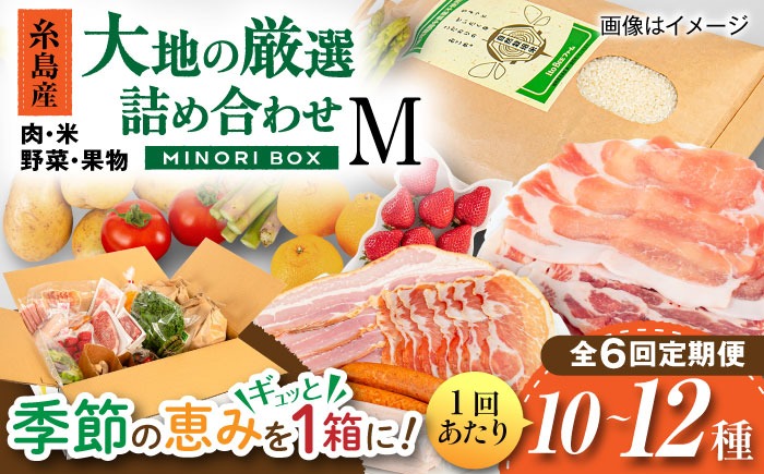 【全6回定期便】糸島産 肉 米 野菜 果物 厳選詰め合わせ MINORI BOX Mサイズ 糸島市 / emma.Inc / 米 肉 野菜 果物 詰め合わせ[AOP013]